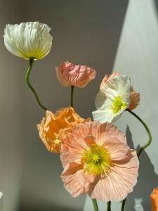 ����� ����� �� ������ - ����������� 1