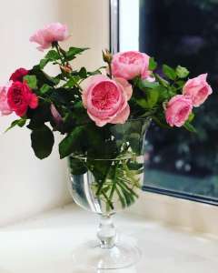 ����� ����� �� ������ - ����������� 1