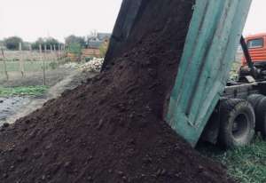 ����� ����� �� ������� ��������� �������� �������. - ����������� 1