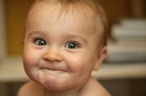 ����� ����� �� �����������. �����������. - ����������� 1