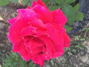 ����� ����� ��� �� - ����������� 1