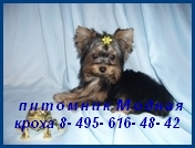 ����� ����� ����. - ����������� 1