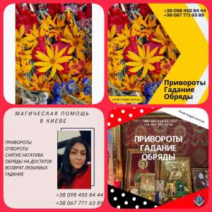 ����� ����� ����. �������� �������� ����. ������� ���������� ������. - ����������� 1