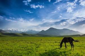 ����� �����. ����� - ����������� 1