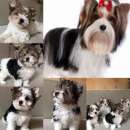 ������� � ����������: ����� ����� �����