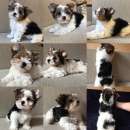 ����� ����� ����� - ����������� 2