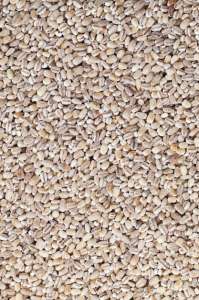 ����� �����. ����� �� ��������� - ����������� 1