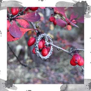 ����� ����� ����� ����� - ����������� 1