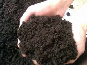 ����� �����, �����, �����, ���, �����, ������ ����� - ����������� 1