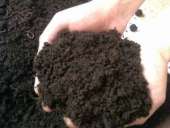 ����� �����, �����, �����, ���, �����, ������ �����. ������������ ������ - �������/�������