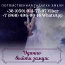 ������� � ����������: ����� �����, �����. ���������� ������ �� ����������.