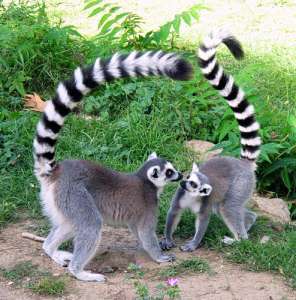 ����� ����� ������ - ����������� 1