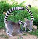 ����� ����� ������ - ����������� 1