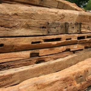 ����� ����� ������ (����� ���� �� ������� ����) - ����������� 1