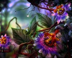 ����� �����, ������ �����. �������� ��������, ������� �� ����, ������������, ������ ����� � ������, ���. ���������, ������� �� - ����������� 1