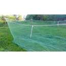 �����, �����, ������ ������ ��� ���� - ����������� 2