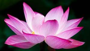 ����� ����� ������ ������� ����� - ����������� 1