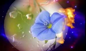 ����� �����, ������, ������������ - ����������� 1