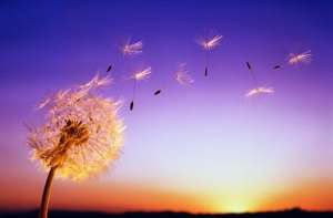 ����� �����, ������, ������������ ������ - ����������� 1