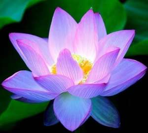 ����� ����� ������ ������������ �������� - ����������� 1