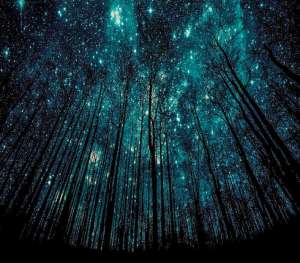 ����� ����� ������ ������������ �������� - ����������� 1