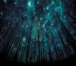 ������� � ����������: ����� ����� ������ ������������ ��������