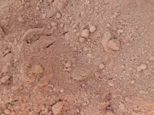 ����� ����� (�������) - ����������� 1