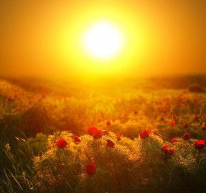 ����� ����� ������� � ������� - ����������� 1