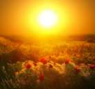 ������� � ����������: ����� �����, ������� � ���������