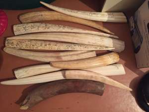 ����� ����� �������, ����� �����, ���� �������� - ����������� 1