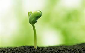 ����� ����� �������, �������� ������ � ������������ ������ �� ����. ��� ������ - ����������� 1