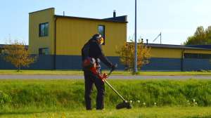 ����� �����, ������� �����������, ���������� �������� �������� ������ ���������� - ����������� 1