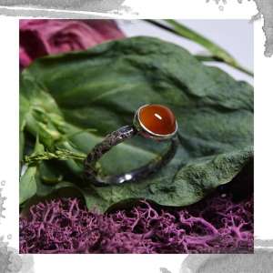 ����� ����� �������� ��������� - ����������� 1