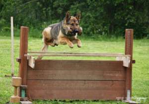 ����� ����� ����������� ����� - ����������� 1