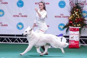 ����� ����� ����������� ������� �� ���������, ���/FCI - ����������� 1