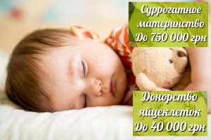 ����� ����� �����������. ��������� �����������. ��������� ��������� - ����������� 1