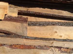 ����� ����� �������������. - ����������� 1