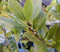 ����� ����� ���������������� 10 ����� - ����������� 1