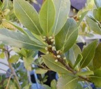 ������� � ����������: ����� ����� ���������������� 10 �����