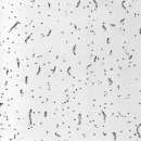 ������� � ����������: ����� ������ 600�600 Miwi (����) - ��������� ����� ���������� ��������