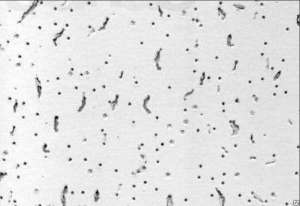 ����� ������ BAJKAL 600*600*12 Armstrong - ����������� 1