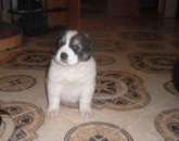 ������� � ����������: ����� ������