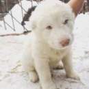 ����� ������. - ����������� 2