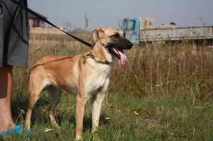 ����� ������ - ����������� 1