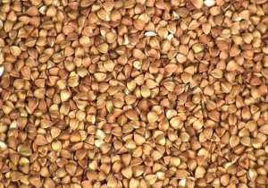 ����� ������ - ����������� 1