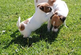 ����� ������ � ������ ����� - ����������� 1