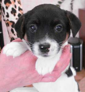 ����� ������ � ������ ����� - ����������� 1