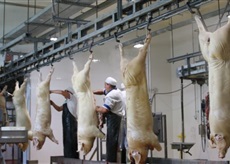 ����� (������ � ������) ����������� �� ����� � ����������� ����� - ����� ����� (������ � ������) ����������� �� ����� � ������ - ����������� 1