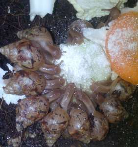 ����� ������ � ������� ���� - ����������� 1