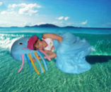 ����� ������ � �������� "��������" - ����������� 3